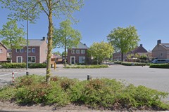 IMG_1081.jpg