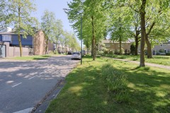 8b.jpg