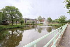 8b.jpg