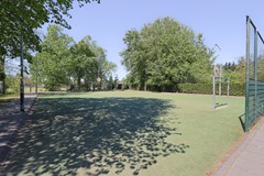 8a-2.jpg