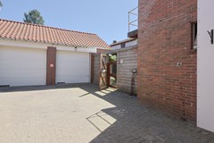 6f.jpg