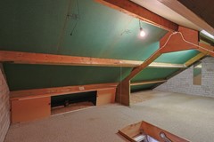 6f.jpg