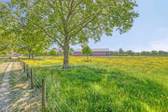 Iepenlaan186241AEBunde-53.jpg