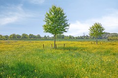 Iepenlaan186241AEBunde-54.jpg