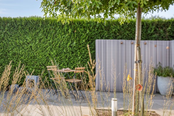 Medium property photo - Wilgenlaan 13, 6051 BP Maasbracht