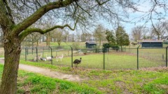 DSC06846.jpg