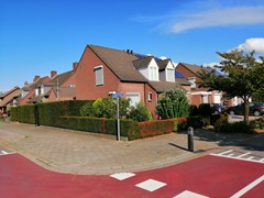 IMG_20190807_180716.jpg