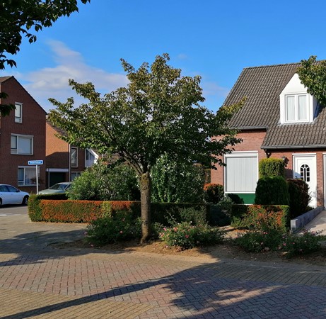 Medium property photo - Beatrixlaan 1, 6051 NA Maasbracht