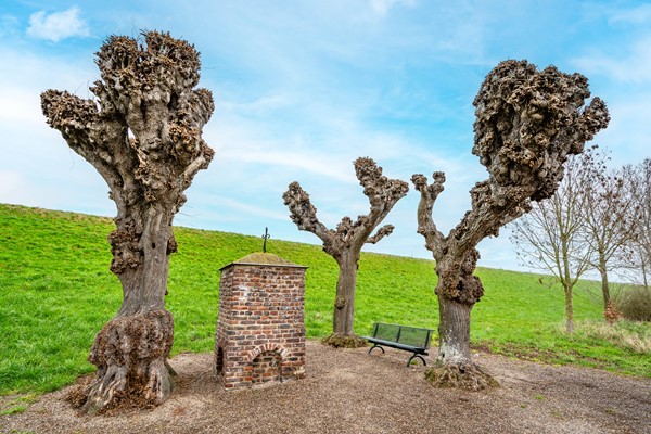 Medium property photo - Roefstraat 14, 6051 LS Maasbracht