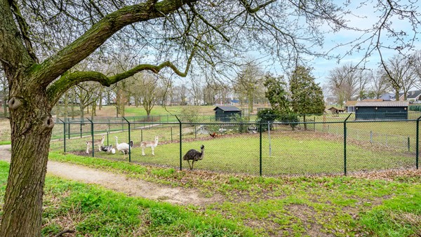 Medium property photo - Roefstraat 14, 6051 LS Maasbracht