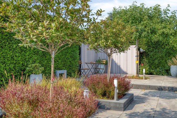 Medium property photo - Wilgenlaan 13, 6051 BP Maasbracht