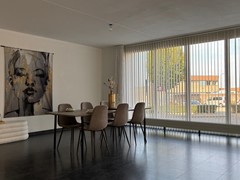 IMG_8234.jpg