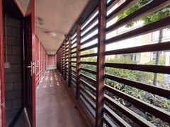 IMG_8267.jpg