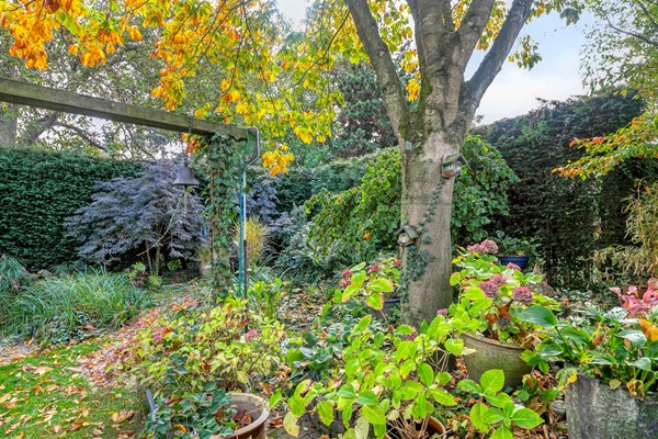 Medium property photo - Graaf de Hompeschstraat 2, 6109 AK Ohé en Laak