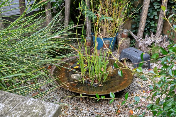 Medium property photo - Graaf de Hompeschstraat 2, 6109 AK Ohé en Laak