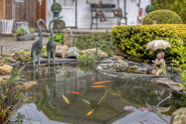 Medium property photo - Rijksweg Noord 7, 6102 BM Echt