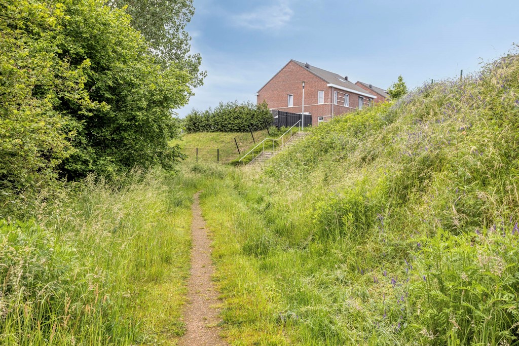 SiemBoonenstraat36081DJHaelen-36.jpg
