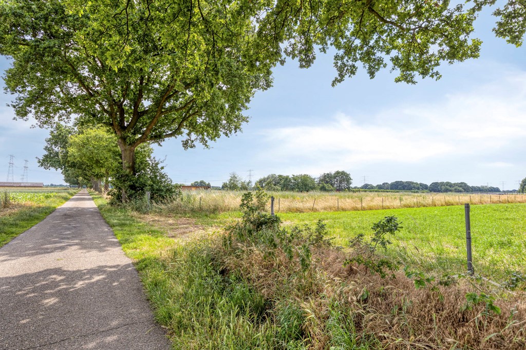 Gangboord226051gkMaasbracht-51.jpg