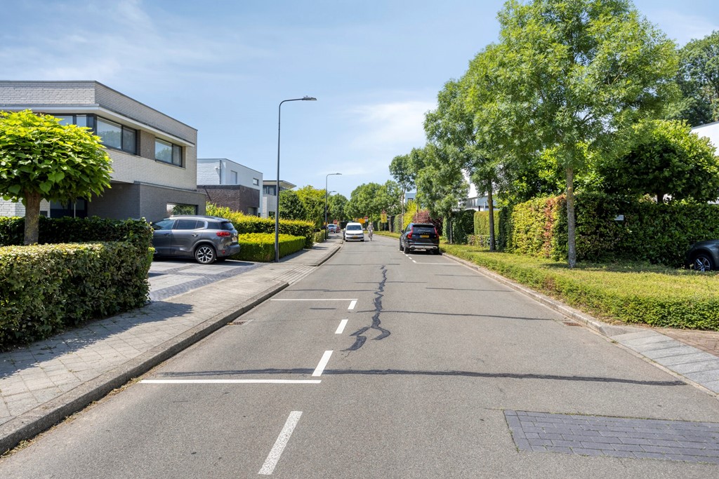 Savelsbosch166228SBMaastricht-10.jpg