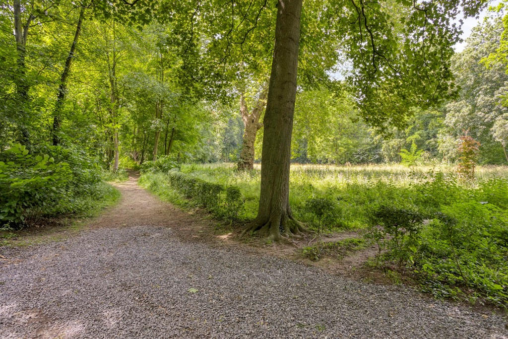 Savelsbosch166228SBMaastricht-65.jpg