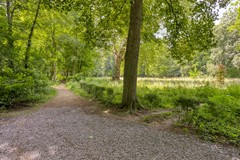 Savelsbosch166228SBMaastricht-65.jpg