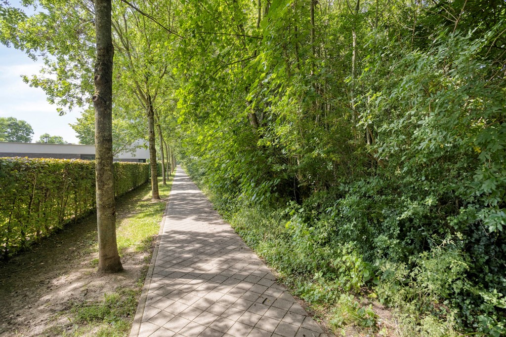 Savelsbosch166228SBMaastricht-66.jpg
