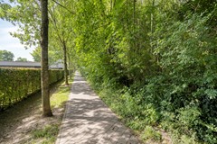 Savelsbosch166228SBMaastricht-66.jpg