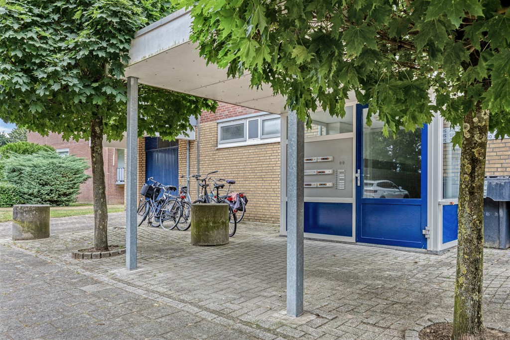 Narcissenstraat2066101LNEcht-04.jpg