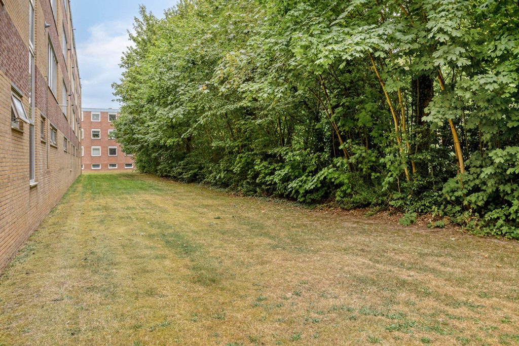 Narcissenstraat2066101LNEcht-31.jpg