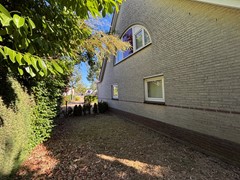 IMG_1641.jpeg