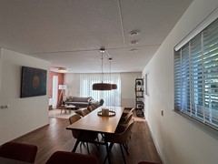 IMG_1654.jpeg