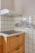 Maasbrachterweg656067CPLinneNL-18.jpg
