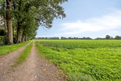 Kasteelstraat106014ejIttervoortNL-37.jpg