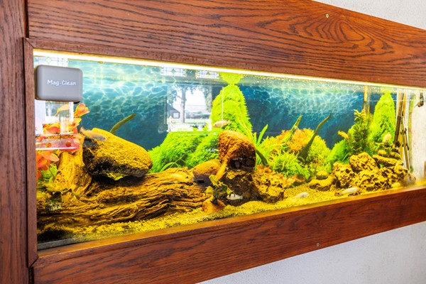 Medium property photo - Europaweg 88B, 7766 AM Nieuw-Schoonebeek