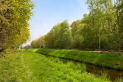 Omgeving_07.jpg