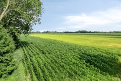 Beulakerweg1238355AEGiethoornNL-59.jpg