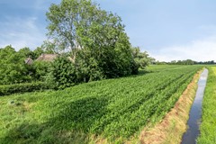 Beulakerweg1238355AEGiethoornNL-60.jpg