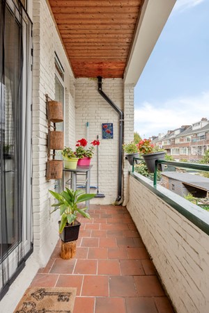 Zwaluwstraat343082mpRotterdamNL-25.jpg