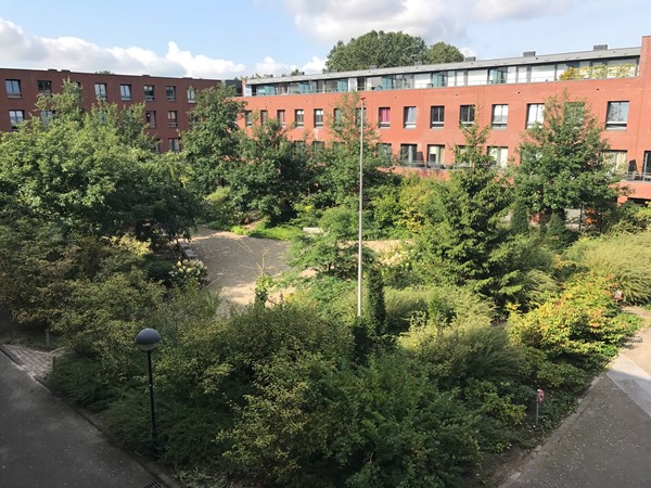 Photo - Rented: Boeimeerhof 27, 4818 RL Breda