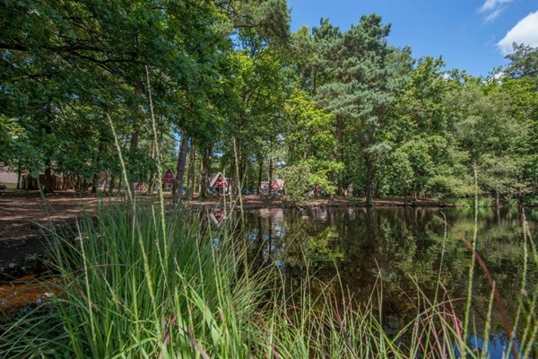 Medium property photo - Patrijslaan 4, 5731 XN Mierlo