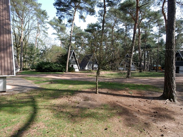 Medium property photo - Patrijslaan 4, 5731 XN Mierlo