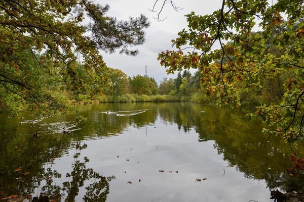 Medium property photo - Patrijslaan 4, 5731 XN Mierlo
