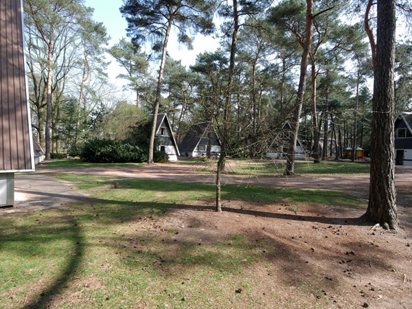 Medium property photo - Patrijslaan 4, 5731 XN Mierlo