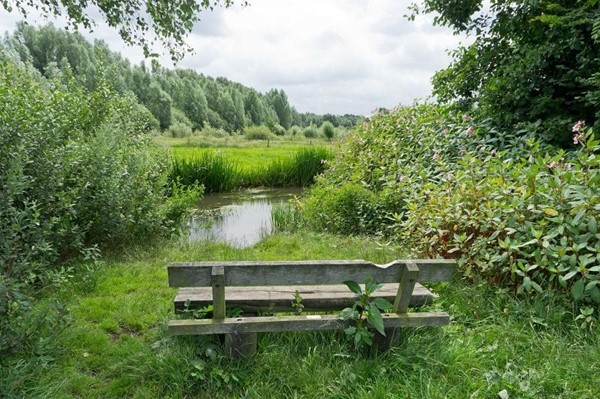 Medium property photo - Adelaartlaan 51, 5665 CV Geldrop