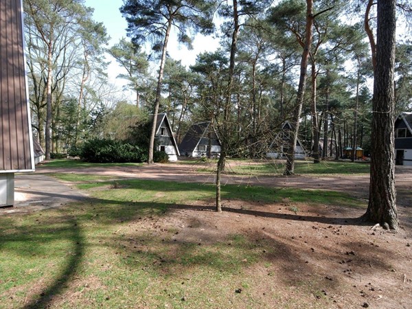Medium property photo - Patrijslaan 4, 5731 XN Mierlo
