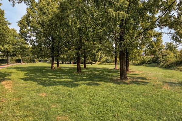 Medium property photo - Meidoorn 16, 5731 WH Mierlo