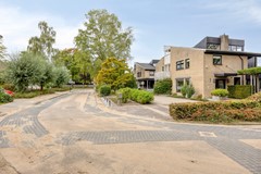 08743817_9.jpg