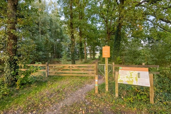 Medium property photo - Meester van Busselstraat 43, 5731 NA Mierlo
