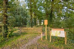 08768641_50.jpg
