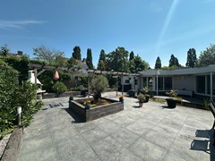 08803887_49.jpg